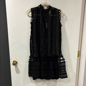 Endless rose Black Lace Dress
